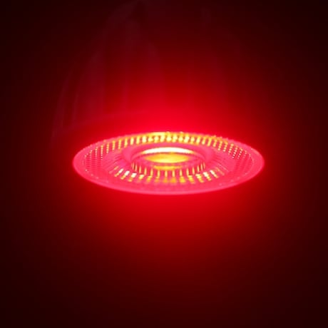【1個ご購入の方専用】Helios Green LED 630（黒）アザミウマ予防ライト