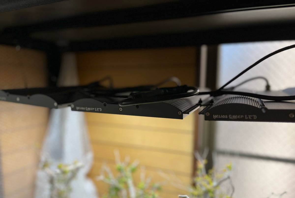 Helios Green LED PRO HGP-303 | Laut design onli