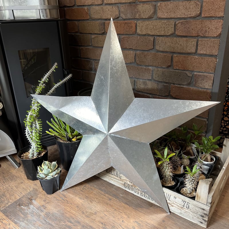 ティンバーンスター009　　TIN BARN STAR ティンバーンスター009 TIN BARN STAR