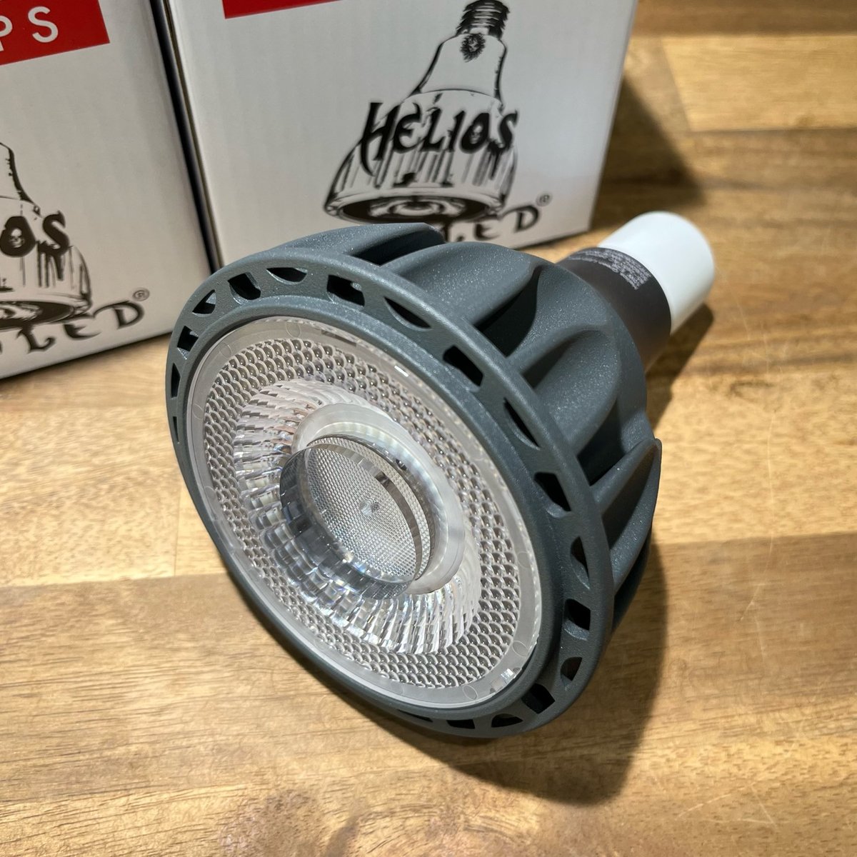 アガベ4種+ヘリオスLEDライト4個セット アガベ4種+ヘリオスLEDライト4個セット