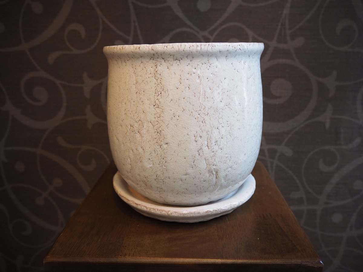 アントステラ　プランター fit=scale-down,w=1200