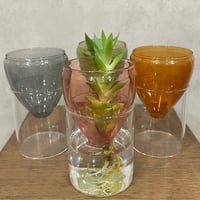 ガラスベース・シーヴ アクアカルチャーベイス