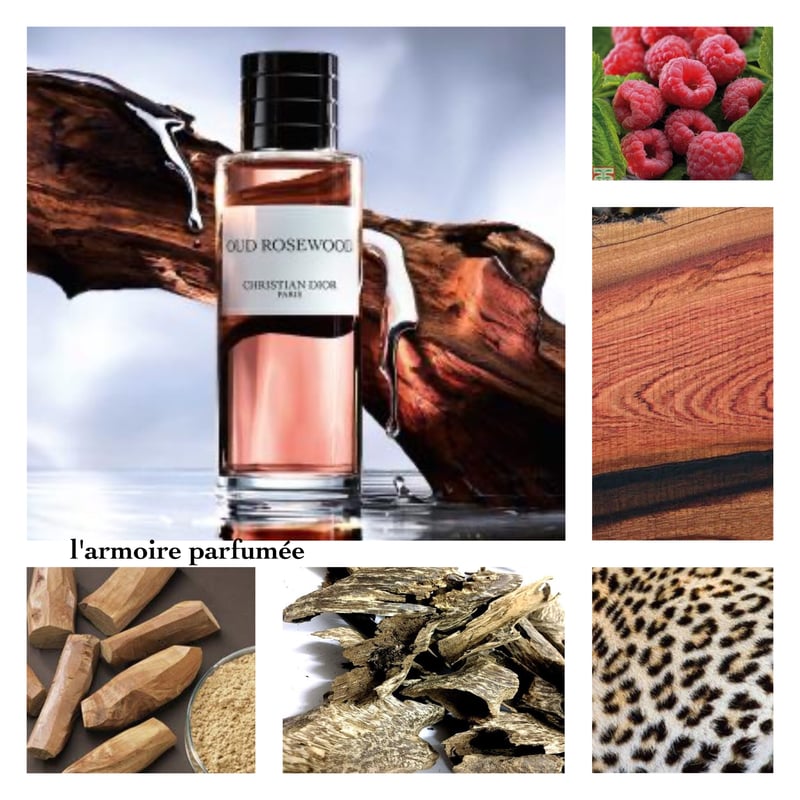 MAISON CHRISTIAN DIOR COLLECTION (LA COLLECTION MAISON CHRISTIAN DIOR COLLECTION (LA COLLECTION