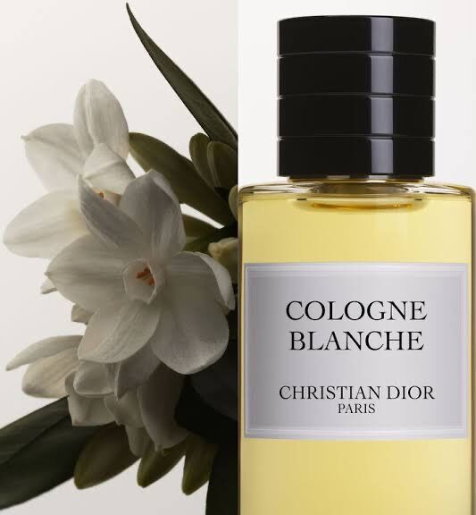 MAISON CHRISTIAN DIOR COLLECTION (LA COLLECTION