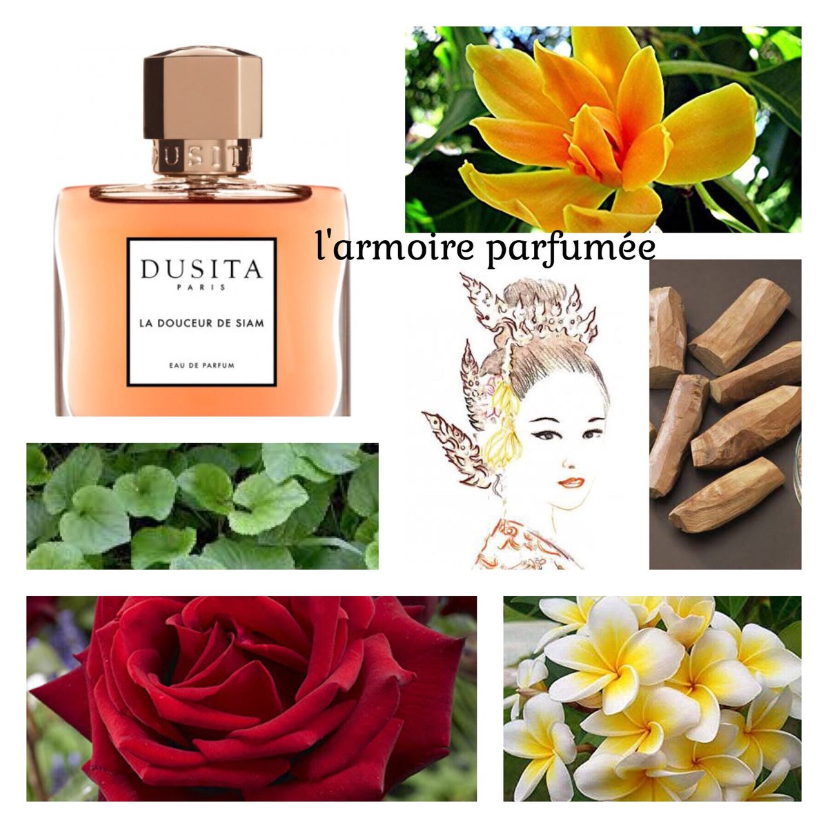 DUSITA ドゥシター LA DOUCEUR DE SIAM 1ml | l'armoir...
