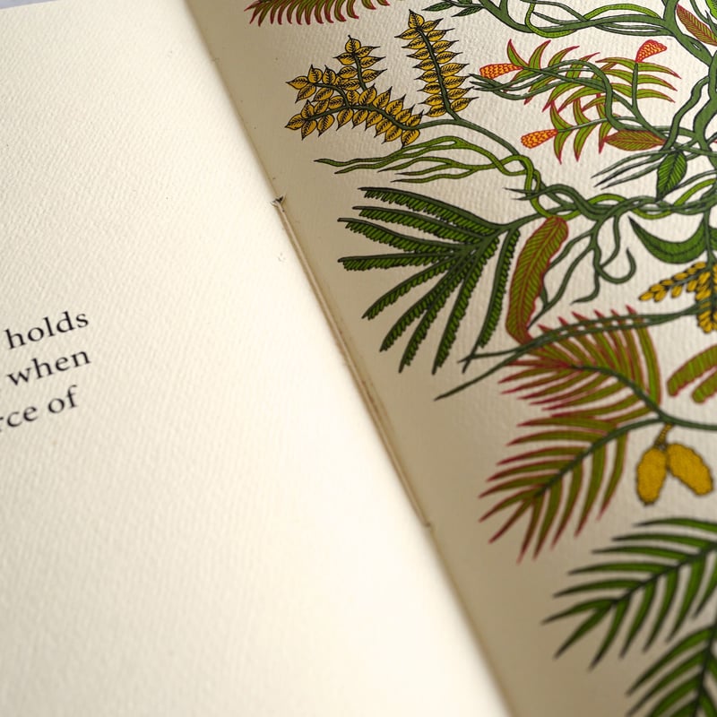Creation | Tara Books | 南インドまちかど雑貨店