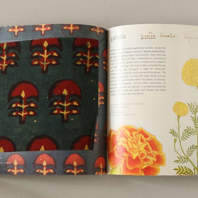 BALOTRA ブロックプリントの本 | 南インドまちかど雑貨店