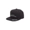 Lack of common sense CollegeLogo cap