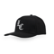 Lack of common sense LC Logo cap