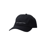 Lack of common sense Horizontal Logo  cap