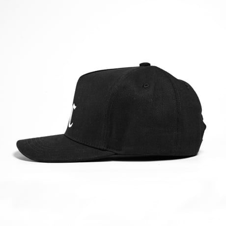 Lack of common sense LC Logo cap