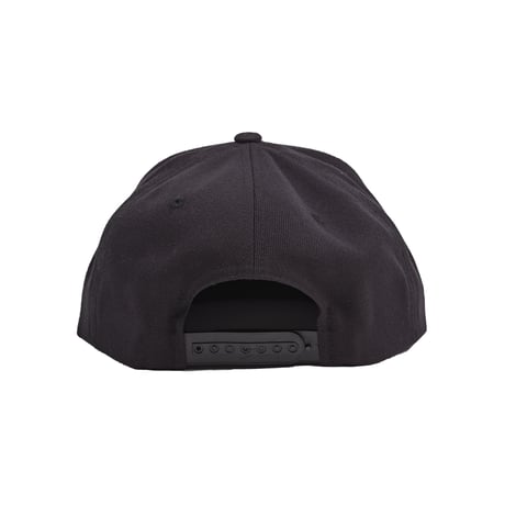 Lack of common sense CollegeLogo cap