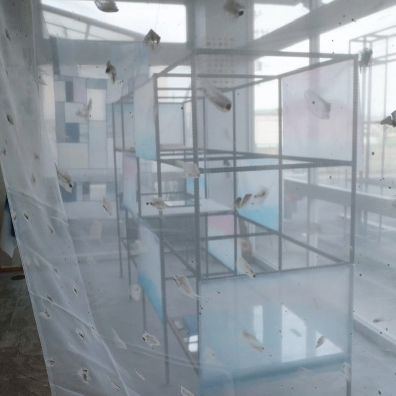 textile order _ 霏霏 | haruka kiyohara