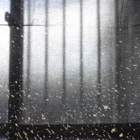 大切に守られてあげる