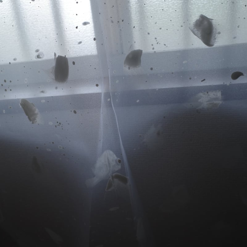 textile order _ 霏霏 | haruka kiyohara