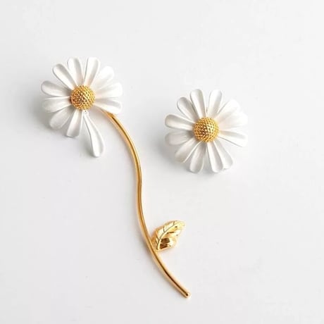 daisy asymmetry pierce