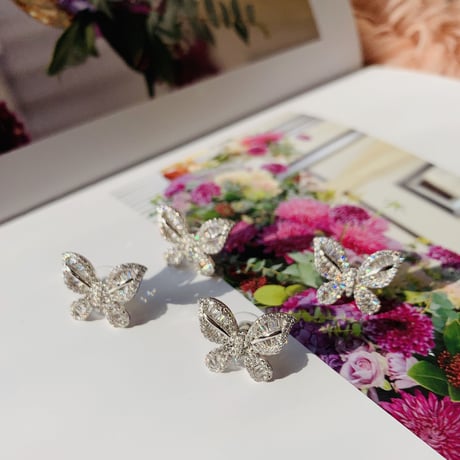 spring butterfly  pierce