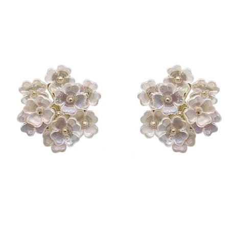 hydrangea pierce