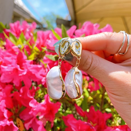 shell × gold  pierce