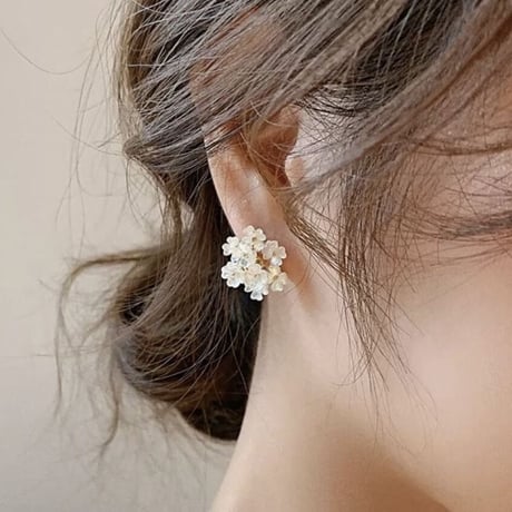 hydrangea pierce