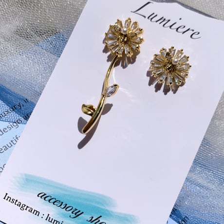 flower asymmetry bee pierce