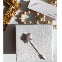 star stone stick brooch