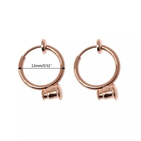 フープ式 earring converter
