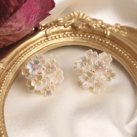 hydrangea pierce