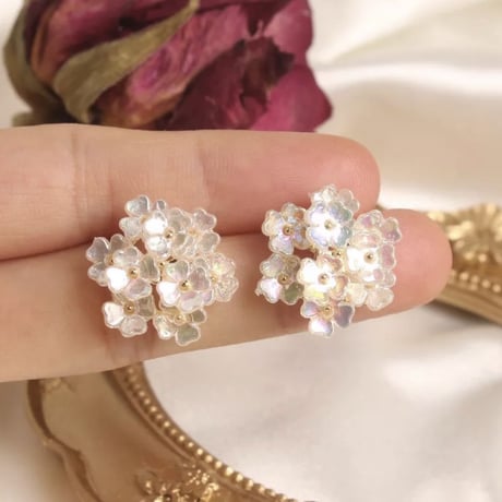 hydrangea pierce