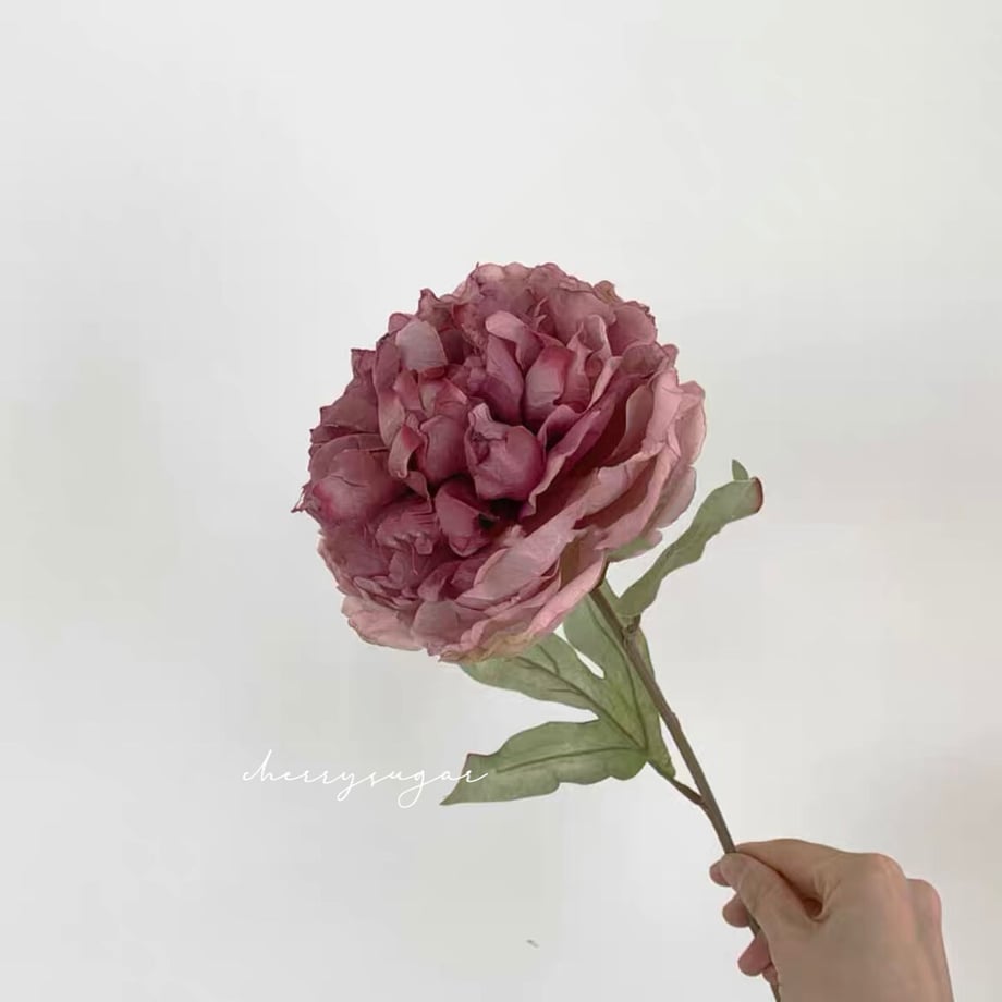6149d099edf49f3fa2305a0f