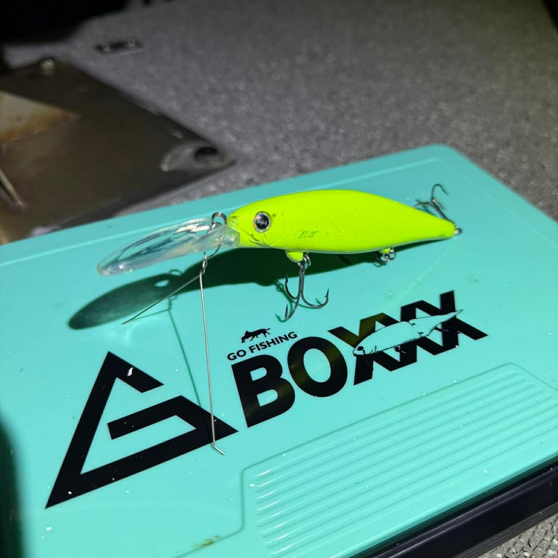代引のみ】【一般注文販売】revonik fishing ディスパ118 | G STORE