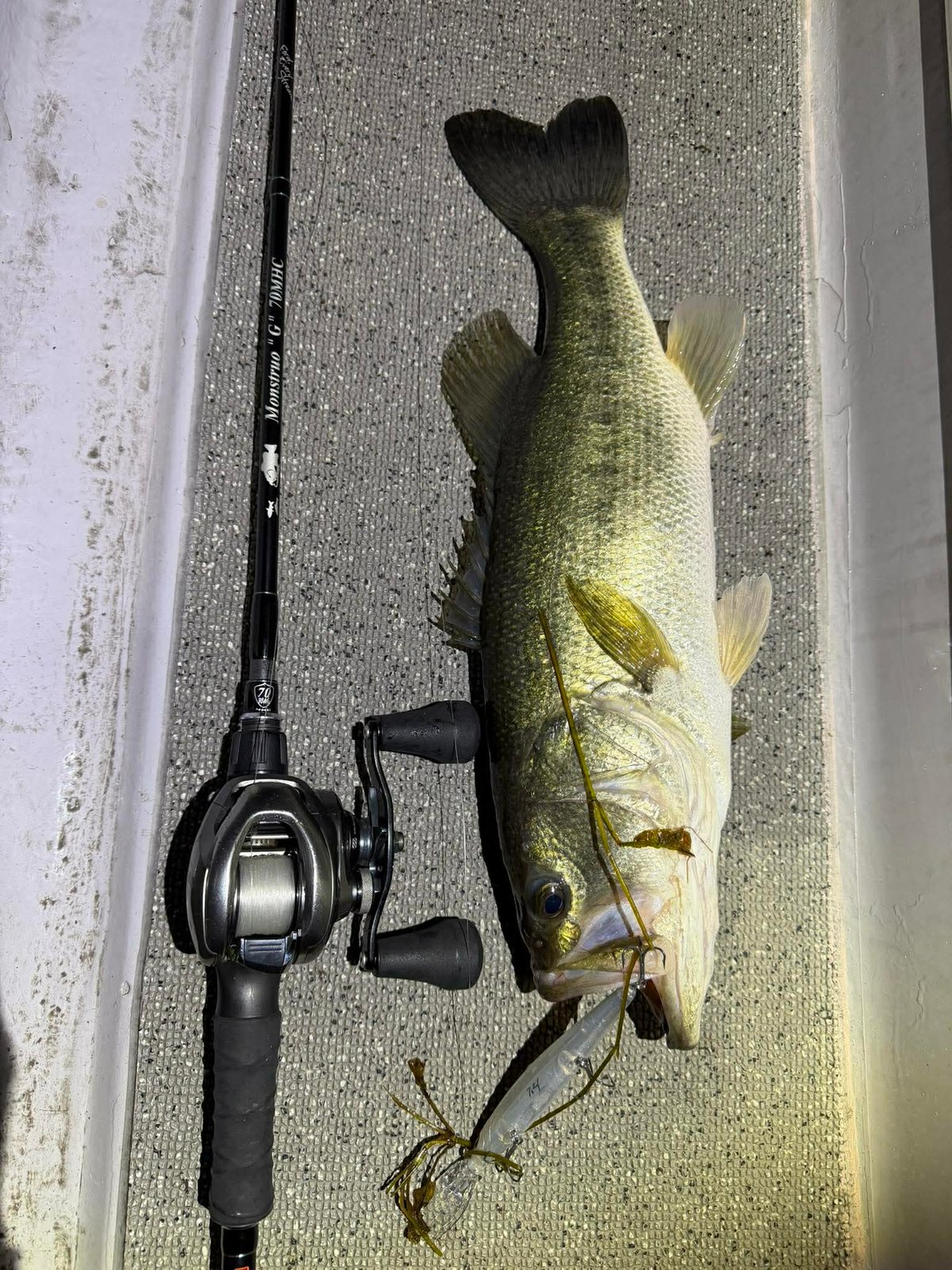 代引のみ】【一般注文販売】revonik fishing ディスパ118 | G STORE