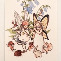 Fairy Pipe ポストカード