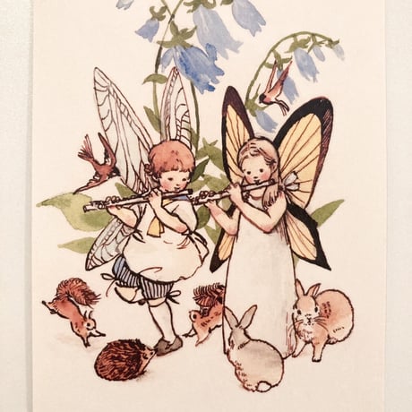 Fairy Pipe ポストカード