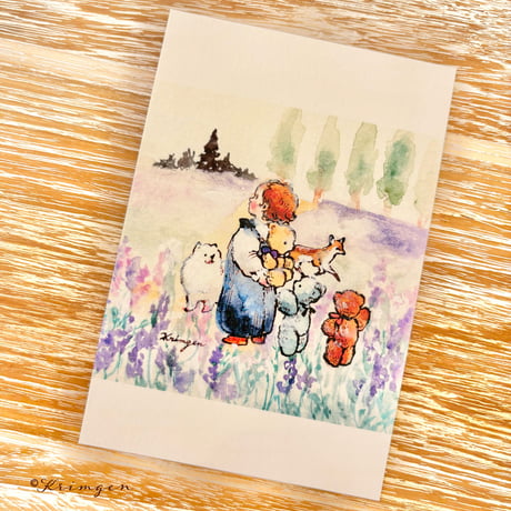 25K-08: "Lavender Fields" postcard
