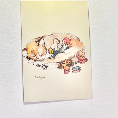 24K-53: "Cat Bed" postcard