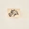 No.68: \"Capricorn\" rubber stamp  やぎ座のハンコ