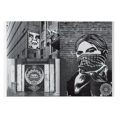 Shepard Fairey Weathered 2023