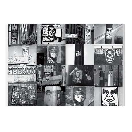 Shepard Fairey Weathered 2023