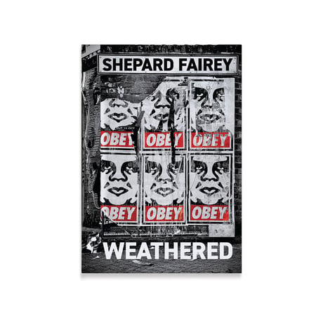 Shepard Fairey Weathered 2023