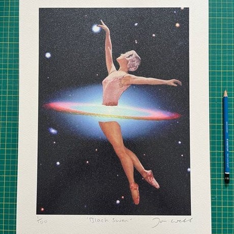 Black Swan - UV print with silkscreened glitter varnish エディション100枚