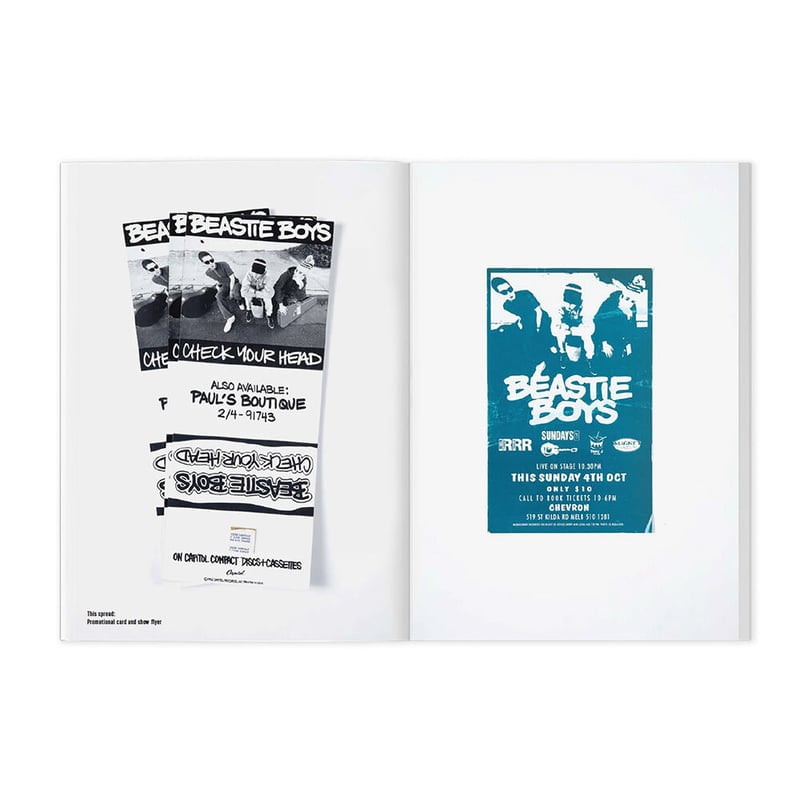 Beastie Boys Check Your Head (Stuff / Volume 3)