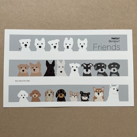 Friends 大判葉書