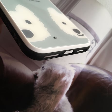 強化ガラス・スマホケース for iPhone