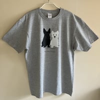 スコッチ＆ウェスティ 杢グレーTシャツ　52colors