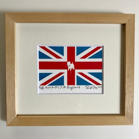 ホワイトテリア＆England