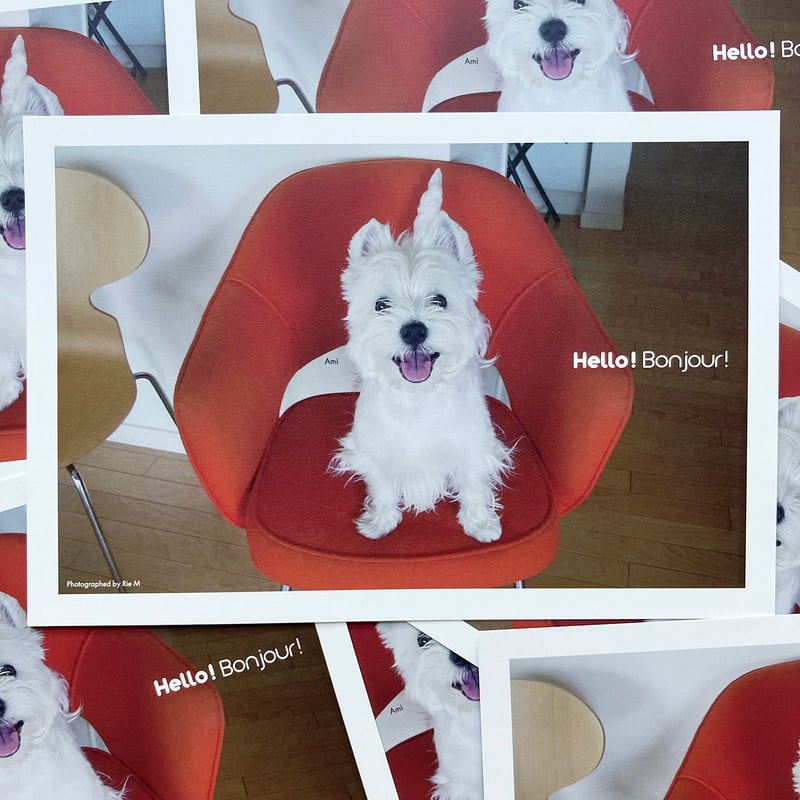 犬服 りんりん様専用 ハンドメイド りんりん様】⑩ハンドメイド