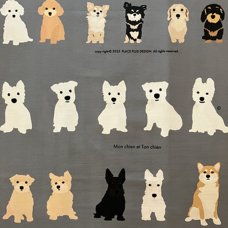 Friends達ファブリック A-part1  DeepGray 30cmから