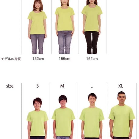 8周年SALE  Ladies Tシャツ ウェスティベーシック