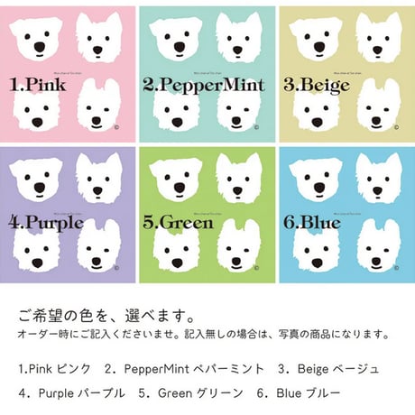 8周年SALE  Ladies Tシャツ ウェスティベーシック